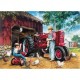 Barnyard Memories