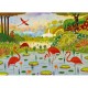 Karibische Flamingos