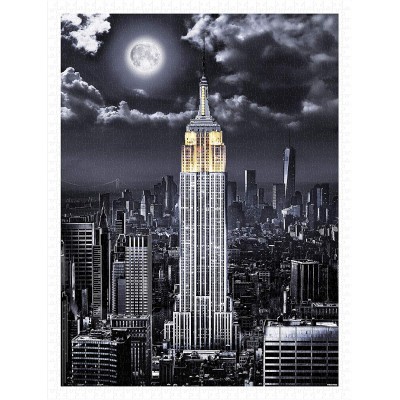 Pintoo-H2120 Puzzle aus Kunststoff - Darren Mundy - Empire State Building