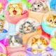 Puzzle aus Kunststoff - Kayomi - Kittens in Capsule Machine