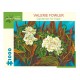 Valerie Fowler - Gardenias for Katie
