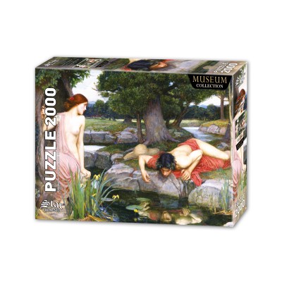 Puzzle Star-Puzzle-1070 Echo And The Narcissus