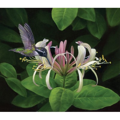 Puzzle Sunsout-26279 Trouver du Nectar
