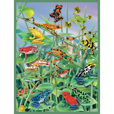 Puzzle Sunsout-31061 XXL Teile - Klettergerüst für Frösche