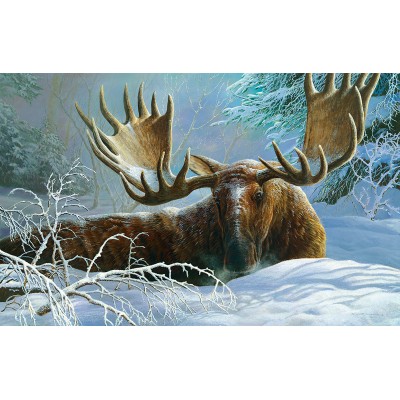 Puzzle Sunsout-56413 Couverture d'Hiver