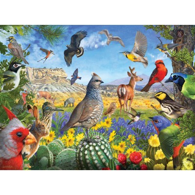 Puzzle Sunsout-70939 R. Christopher Vest - Texas Birds