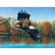 Abraham Hunter - Wetlands Eagle