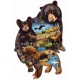 Cynthie Fisher - Bear Family Adventure