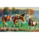 Pasture Family