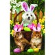 Pièces XXL - Tom Wood -  Easter Bunny in Training