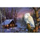 Terry Doughty - Night Watch