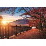 Puzzle  Trefl-10817 
