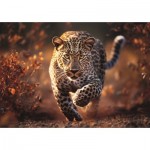 Puzzle  Trefl-10818 