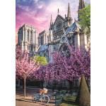 
						Puzzle  Trefl-10858 