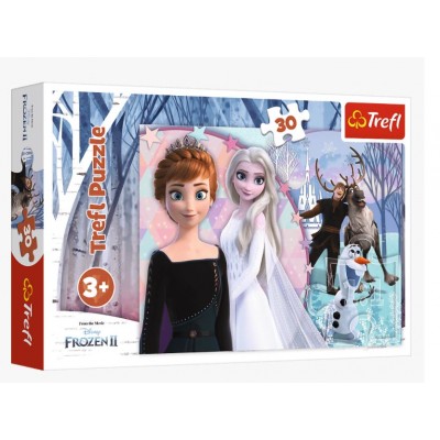 Puzzle Trefl-18275 Magical Frozen