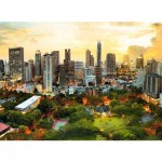 Puzzle  Trefl-33060 