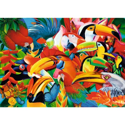 bird puzzles 500