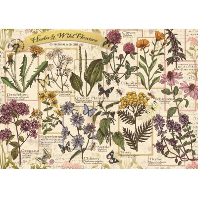 Puzzle Trefl-37478 Herbier : Herbes Médicinales