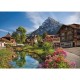 Alps in the Summer