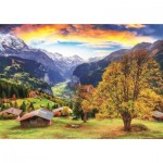 Puzzle   