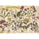 Herbarium: Medicinal Herbs