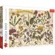 Herbarium: Medicinal Herbs