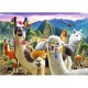 Lamas in the Mountains