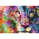 Lion Coloré