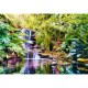 Oasis of Calm